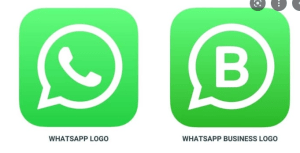 Whatsapp Business vs whatsapp biasa