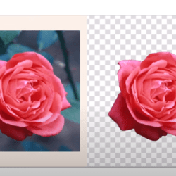 Cara Menghilangkan Background Foto Di CorelDraw Simple & Cepat