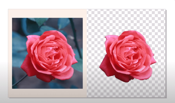 Cara Menghilangkan Background Foto Di CorelDraw Simple & Cepat